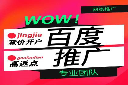 揭秘百度竞价广告：实战案例分析及优化策略